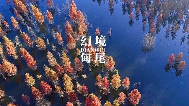 代理枪手